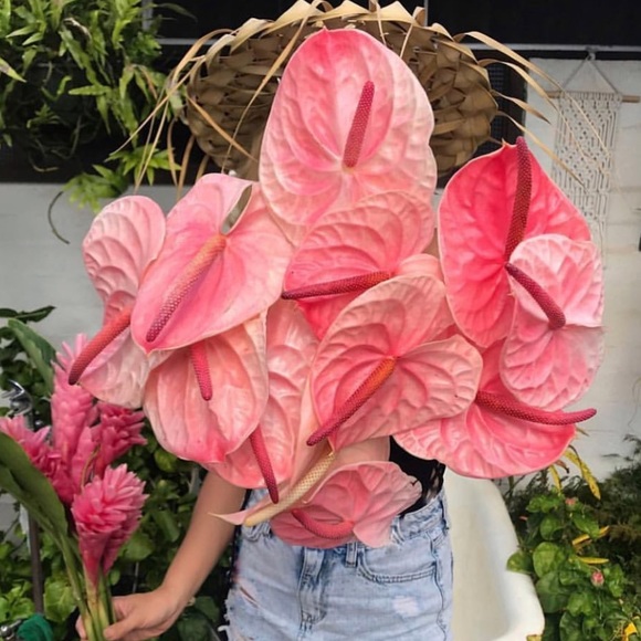 🍹🍍Maui 📷  🌿🌸 🌈 - Picture 5 of 8